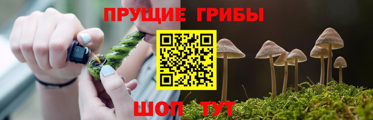Галлюциногенные грибы мицелий Троицк