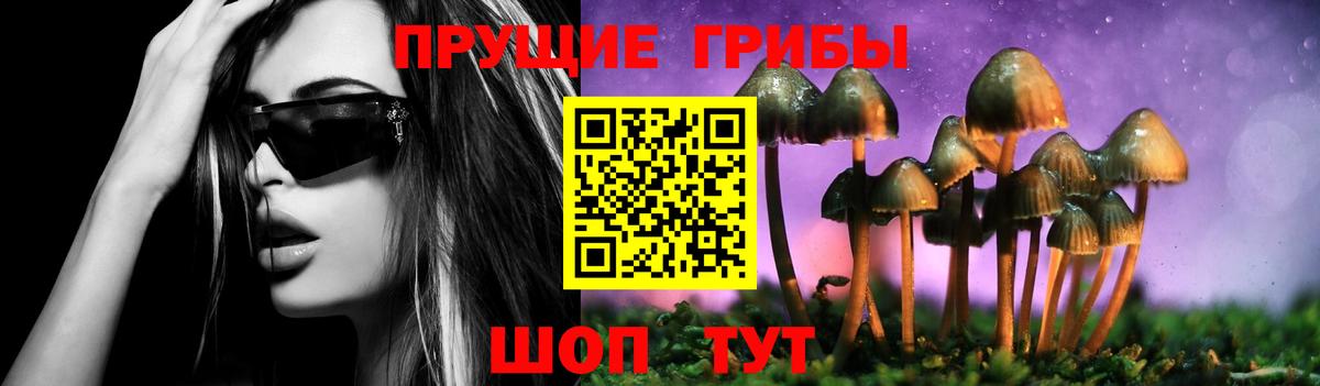 Галлюциногенные грибы Psilocybine cubensis  Вход с VPN  Троицк 