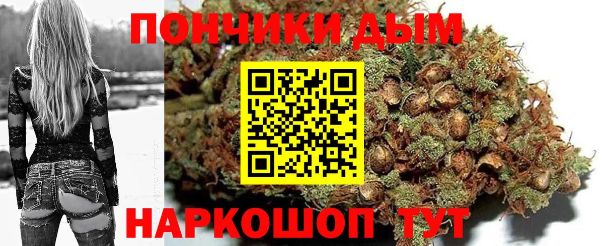 Бошки Шишки семена  Вход с VPN  Бошки Шишки планчик  Троицк  Канабис OG Kush  МАРИХУАНА SATIVA & INDICA 